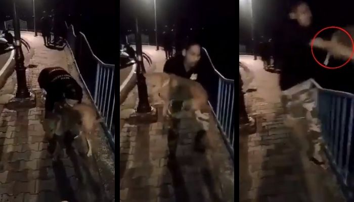 Madhya Pradesh: Bhopal resident Salman Khan throws a stray dog off the bridge, smiles and poses for camera