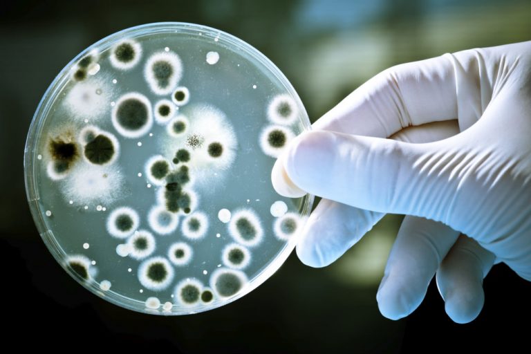 After Coronavirus and the Bubonic plague alert, thousands infected by bacterial outbreak after factory leak in China: Details