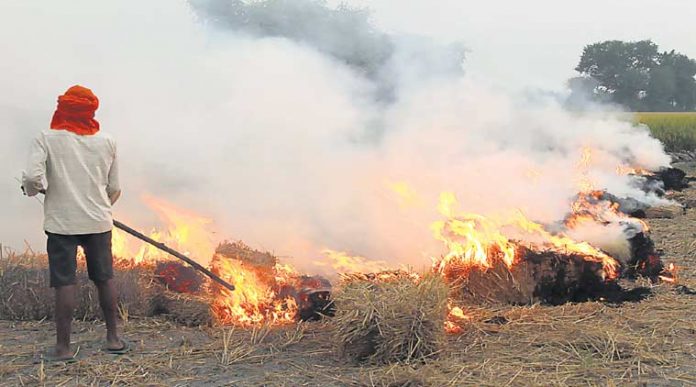 Stubble burning in Punjab begins amidst fears of the commencement of a deadly wave of coronavirus crisis due to aggravated air pollution
