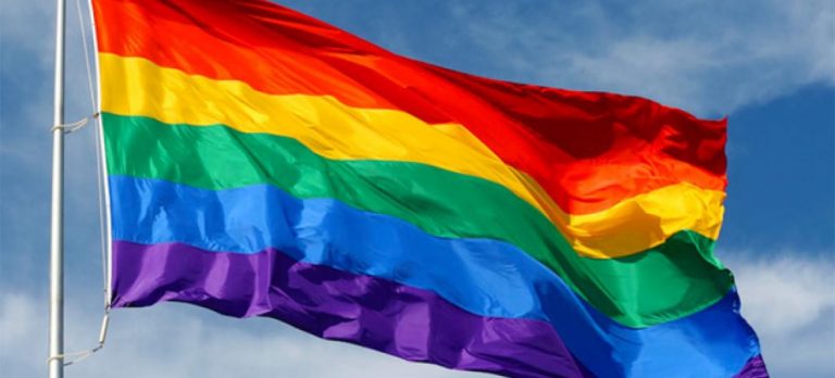 Petition in Delhi High Court demands recognition for homosexual marriages under the Hindu Marriage Act