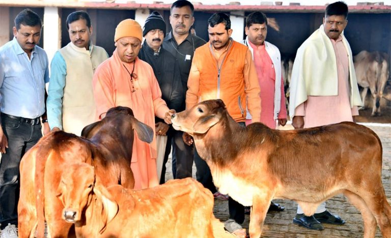 Yogi Adityanath government to distribute cows to the families of the most malnutritioned children under the Nutrition Drive in Uttar Pradesh