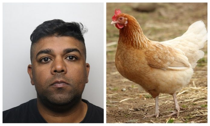 UK: Man named Rehan Baig jailed for 3 years for raping chickens while his wife filmed the act