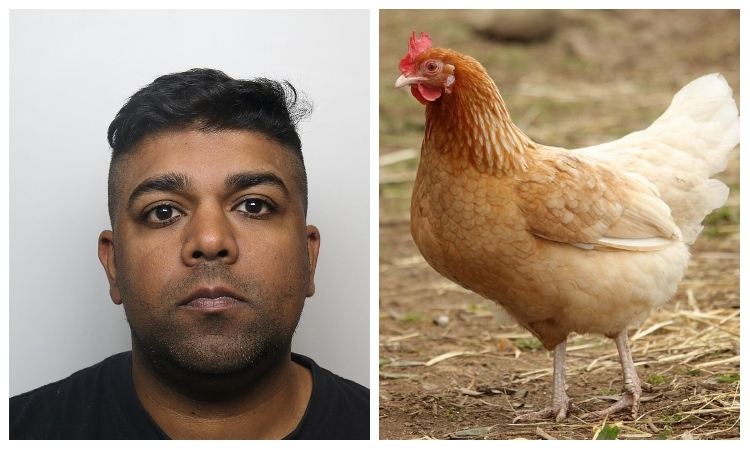 UK: 37-year-old paedophile named Rehan Baig jailed for raping chickens to death while his wife filmed it