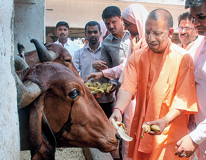 CM Yogi on cow slaughter