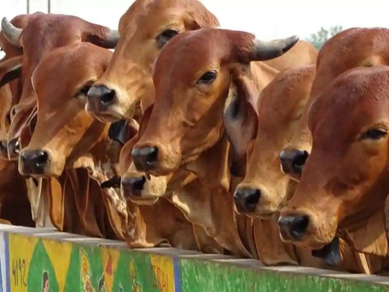 Mumbai: Gau Rakshak attacked, assaulted by violent mob in Nalasopara in presence of police
