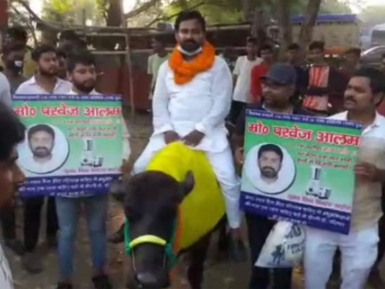 Bihar: Police arrest National Ulema Council Party candidate for campaigning on buffalo