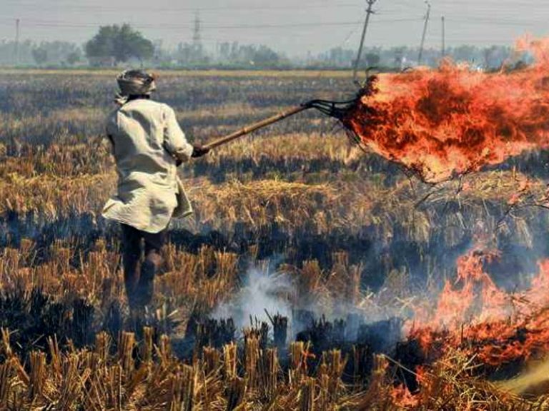 Punjab burns 4 times more stubble than last year amid fears of Covid crisis getting worse due to pollution