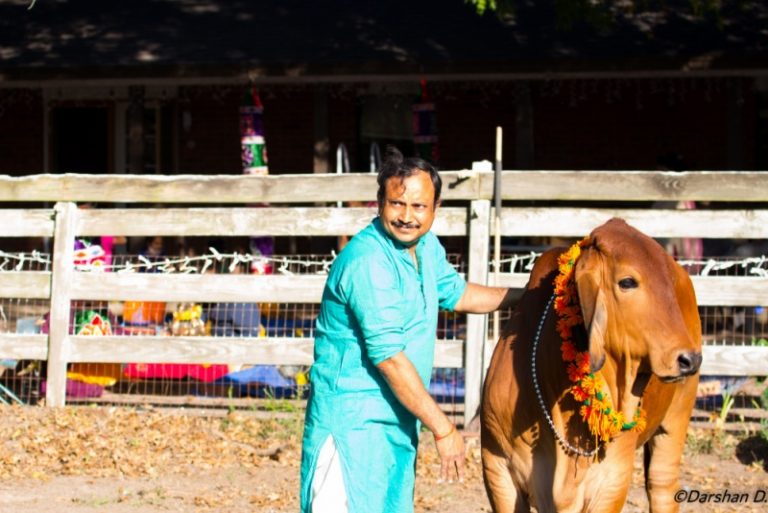 Far away from India, a Vedic ecosystem rises in Texas Gaushala