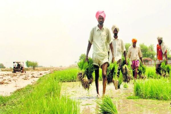 Farmers benefitting from farm laws