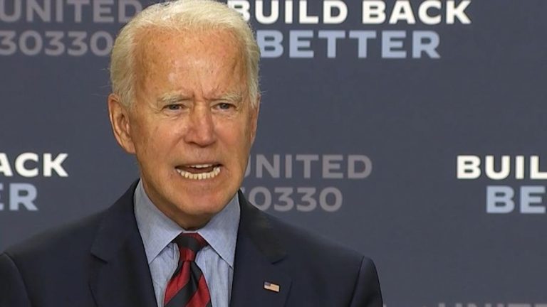 The Life and Crimes of Joe Biden and Hunter Biden that the mainstream media doesn’t want you to read