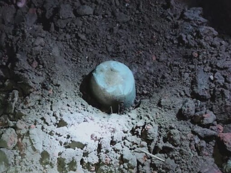 Odisha: Ancient Shivling unearthed in Bhadrak on Diwali during excavation