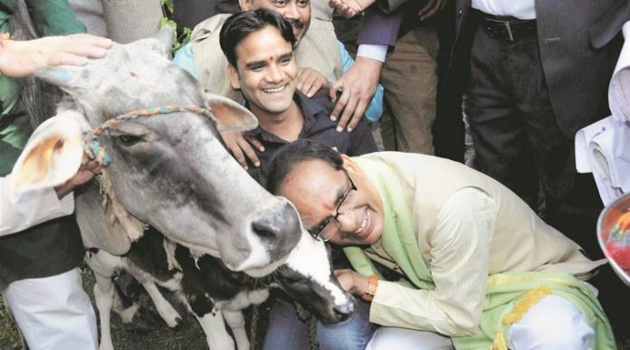Shivraj Singh Chouhan announces a 'Gau cabinet' for the preservation and welfare of cattle in Madhya Pradesh