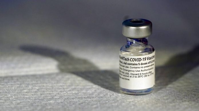 Coronavirus vaccines may contain pork-derived gelatin