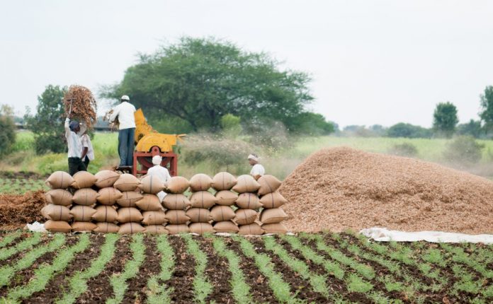 MP and Rajasthan farmers benefit from the three agriculture laws even as farmers from Punjab, Haryana and Uttar Pradesh continue their protest against it