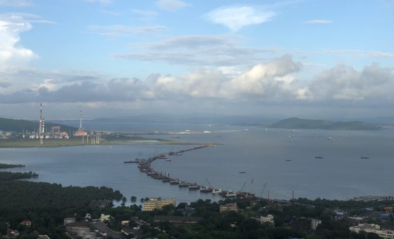 After ‘saving Aarey’, Shiv Sena led BMC gives permission to remove over 1000 trees for Mumbai Trans-Harbour Link