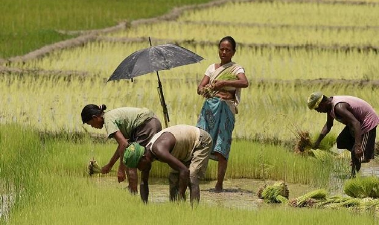 Amid protests against ‘abolishment of MSP’, Modi govt buys Rs 67,248.22 crore worth Kharif produce at MSP