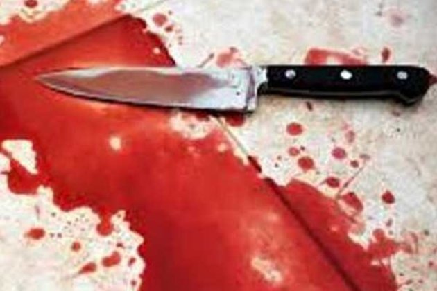 Nagpur: Mohsin Khan stabs alleged girlfriend's grandmother and brother to death