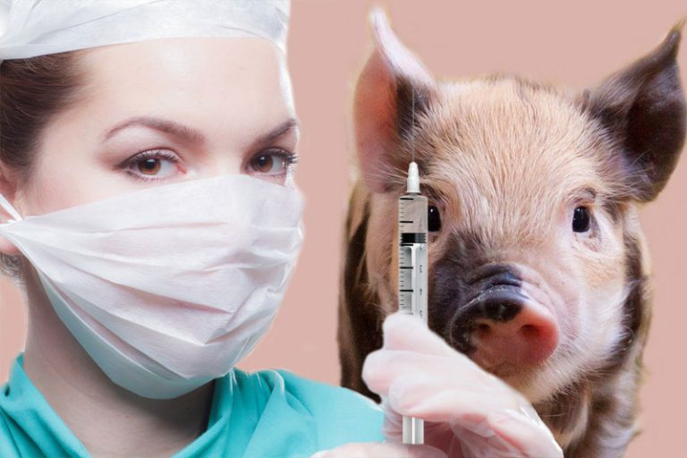 “Sooar ki charbi haram hai”: Islamic organisations issue fatwa against coronavirus vaccines from China