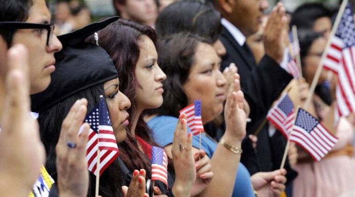 Indian diaspora in OECD countries