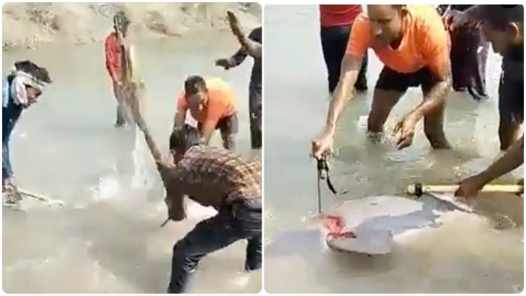 Three men arrested after a video of locals lynching a rare Gangetic Dolphin in Uttar Pradesh’s Pratapgarh goes viral