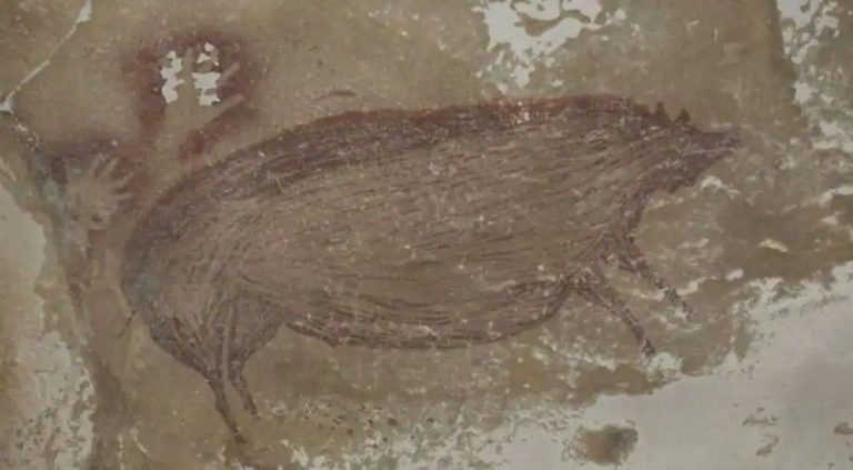 World’s oldest known artwork is of a warty pig, found in Indonesia’s Sulawesi Islands