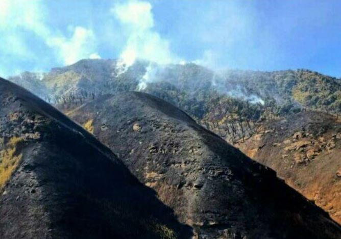 Dzukou valley-fire: IAF, NDRF continue efforts to control forest fire