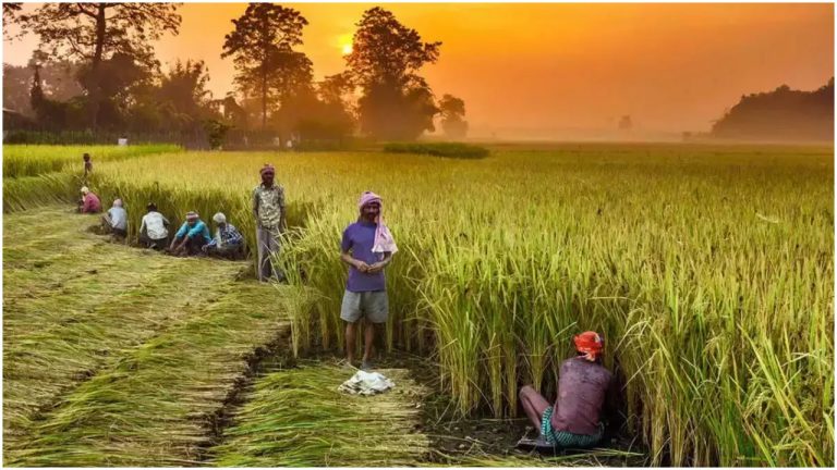 Support for agro reforms grow as more than 850 experts, noted academicians says laws will open market for farmers
