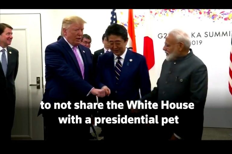 Reuters’ ‘First Dogs’ video after Trump leaves White House is quite racist, especially towards India and Japan