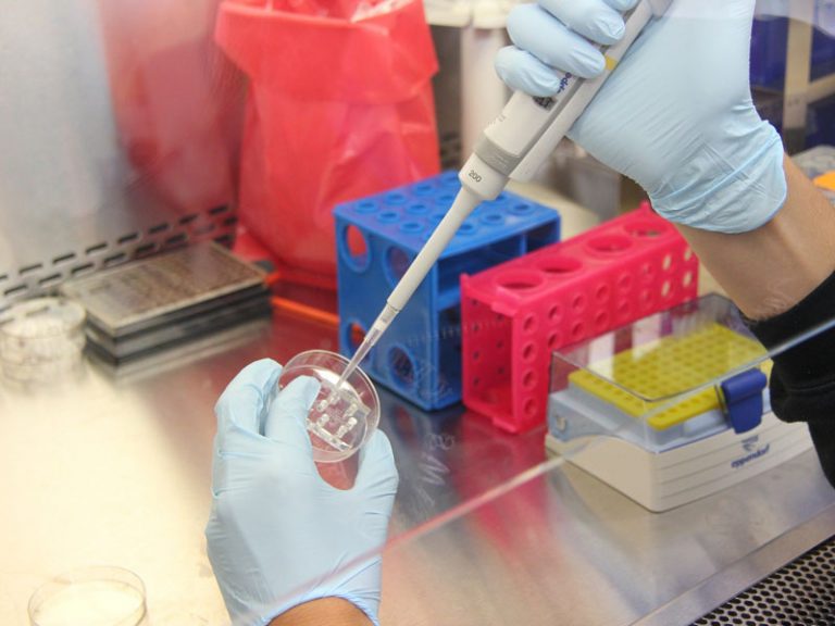 India becomes the first country to culture the new viral strain UK-variant of Chinese coronavirus successfully