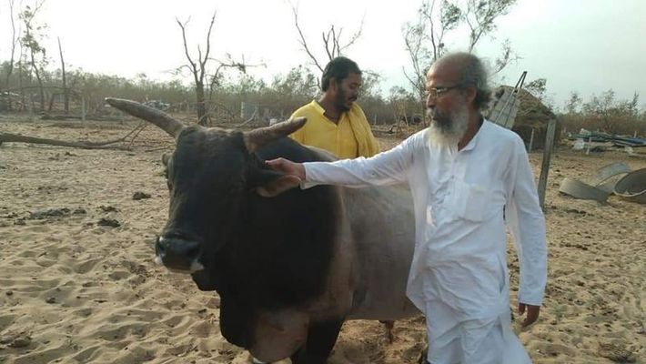 ‘Cow slaughter should be treated at par with murder’: Union Minister Pratap Sarangi writes to Odisha CM after accident of truck carrying cattle illegally