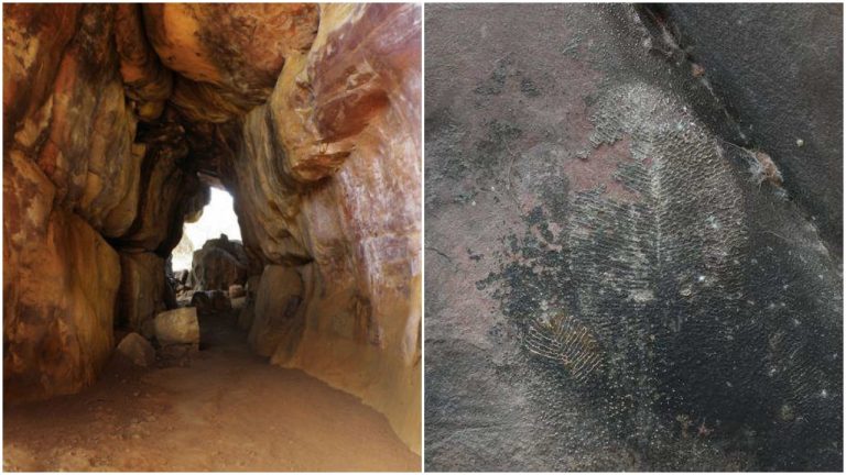 Fossils of world’s oldest animal Dickinsonia discovered inside Bhimbetka rock shelters in Madhya Pradesh