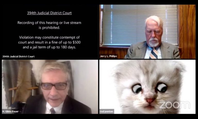 ‘I am not a cat’: Lawyer says after cat filter comes on during Zoom hearing. Here is what happened