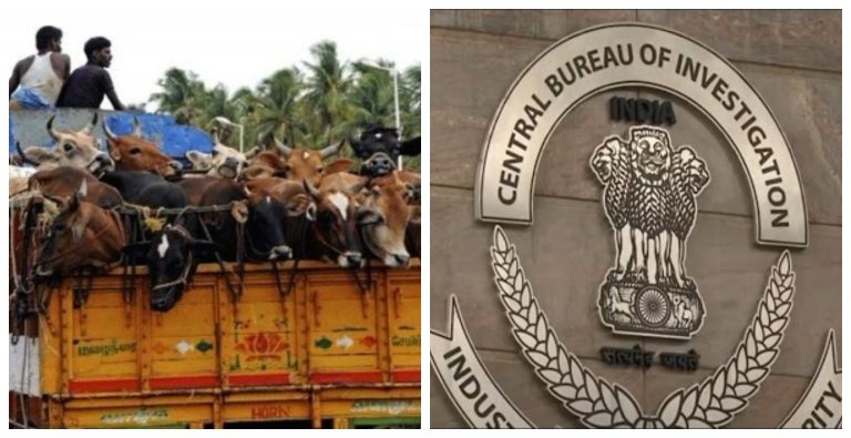 Cattle smuggling: CBI issues lookout notice against brother of TMC leader Binay Mishra, a close aide of Abhishek Banerjee