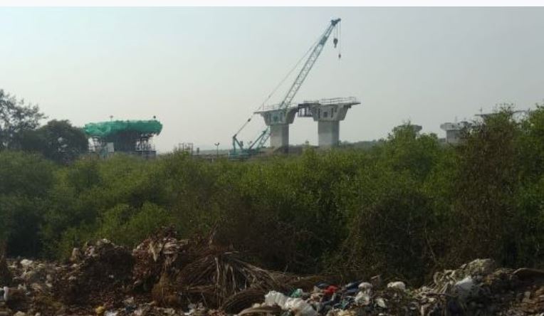 Maharashtra govt approves axing one hectare of mangrove area for Airoli-Thane road flyover, Netizens question silence of ‘Aarey activists’