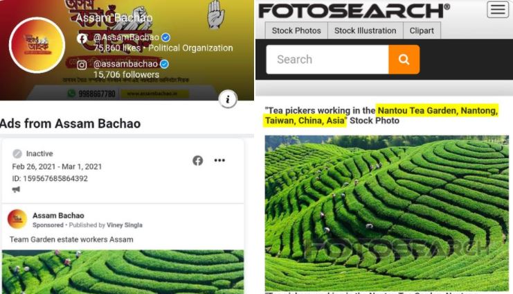 Congress tries to pass off multiple images of tea gardens from Taiwan as that of Assam, gets fact-checked by BJP leader Himanta Biswa Sarma