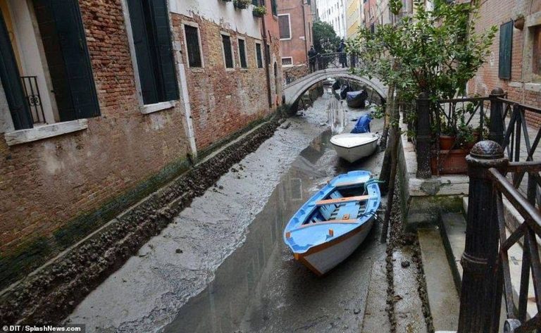 Canals of Venice in Italy dry up causing the Gondolas to get stranded on mud