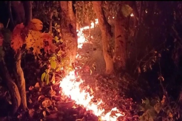 Simlipal Forest Fire