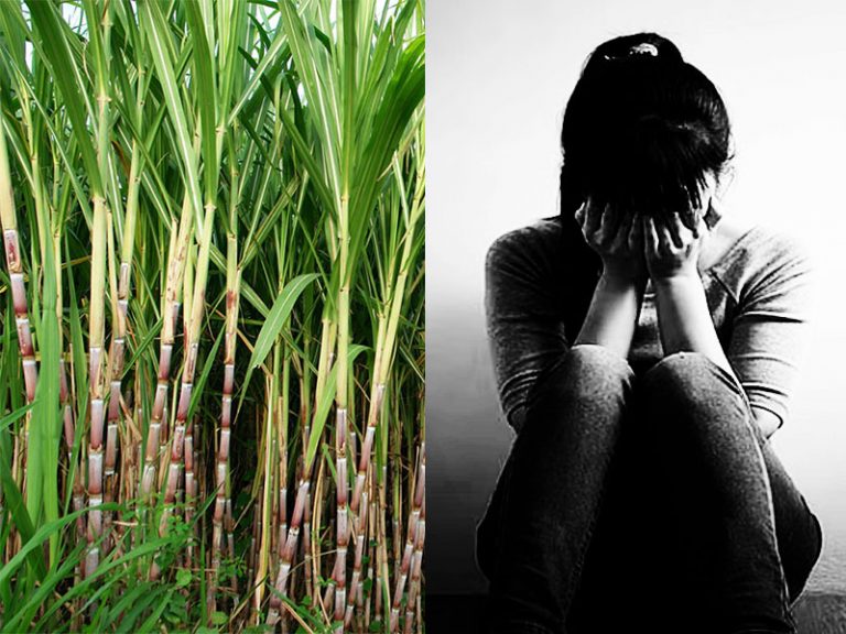 Uttar Pradesh: Farman rapes 25-year-old Divyang Dalit in a sugarcane field, threatens to murder if she told anyone