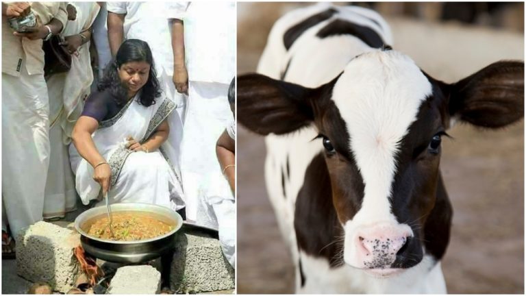 Congress party fields Bindhu Krishna – the organiser of anti-Hindu ‘beef festival’ from Kollam