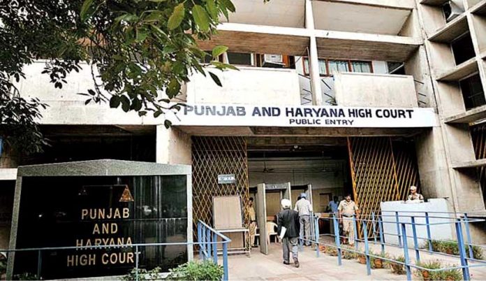 Punjab and Haryana HC refuses anticipatory bail to 95-year-old accused of fraud