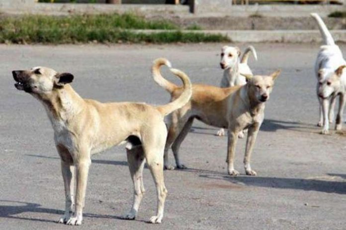 Representational Image from India.com