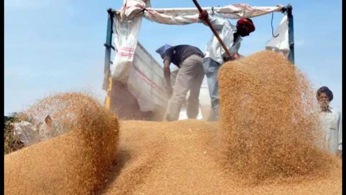 Farmers in Punjab allege arhtiyas forcing them to furnish signed blank cheques for facilitating procurement