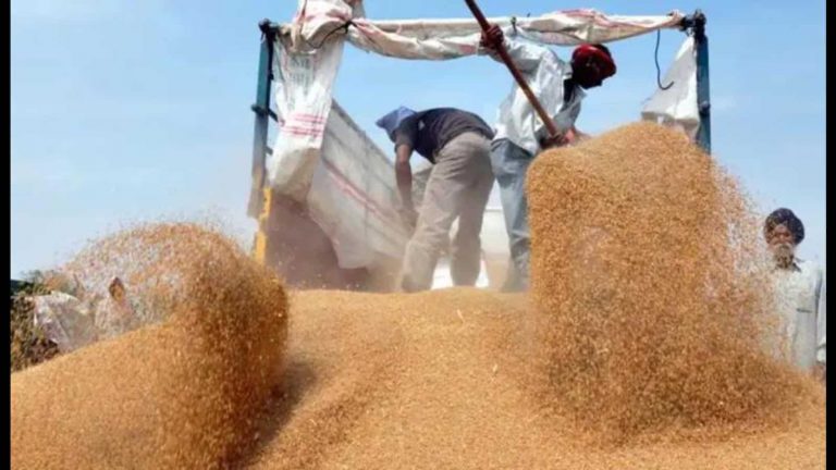 The direct fall-out of not implementing farm laws: Punjab Farmers say Arhtiyas asking for signed blank cheques for helping in crop procurement