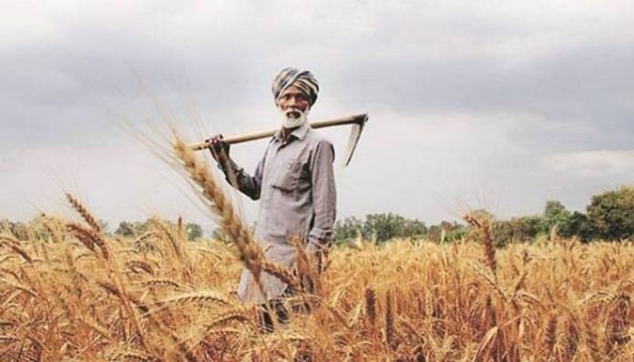 Farmers in Punjab reap the benefit of DBT for the first time: Details