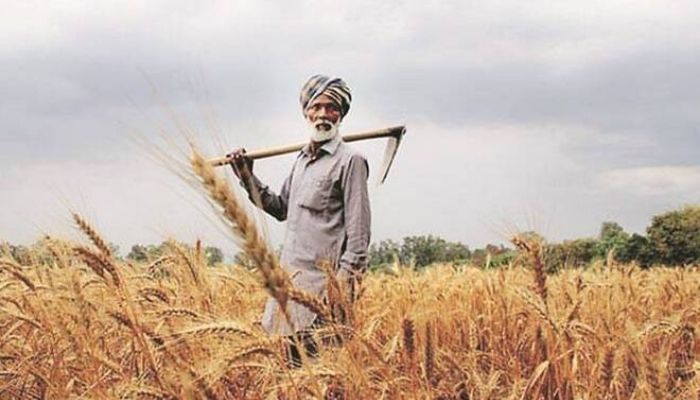 This is the best system, earlier, it was in control of Arhtiyas: How Direct Benefit Transfer is changing the lives of farmers in Punjab for the first time