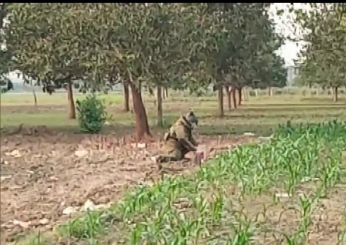 Bengal: Crude bomb discovered in Murshidabad district