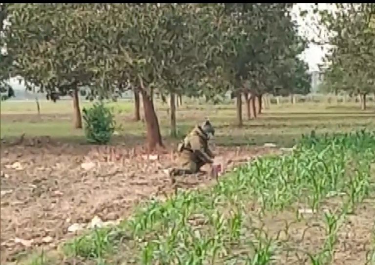 West Bengal: 14 crude bombs recovered from Murshidabad district ahead of 5th phase polling