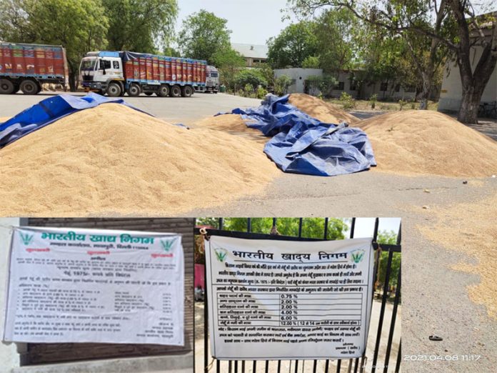 FCI Delhi Region shared images of wheat procurement