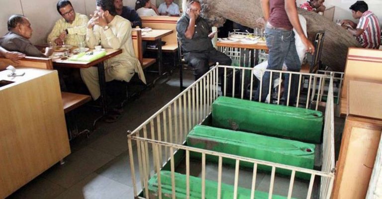 Cafe on Kabristan: A restaurant in Ahmedabad where people dine among the dead and which was once frequented by painter M.F. Husain