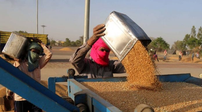 Govt of India refutes media reports on import of wheat, read details